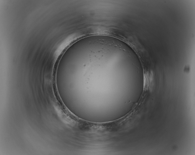 X0000111820195200907301305