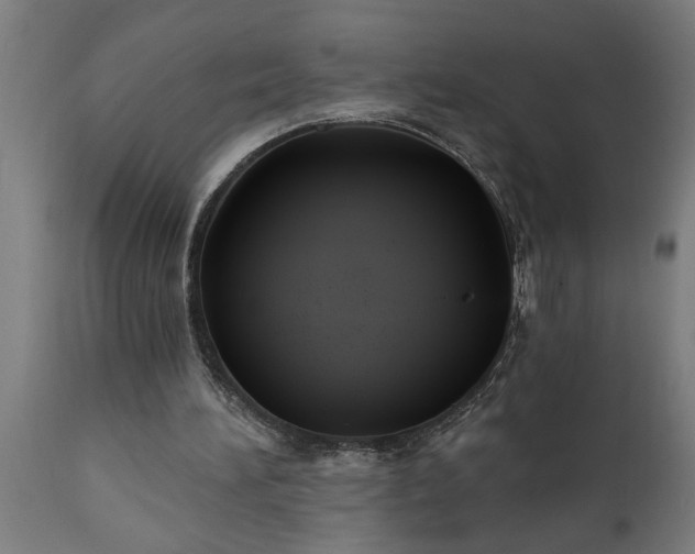X0000111820196200907301305