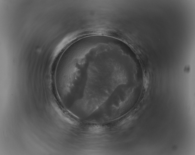 X0000111820198200907301305