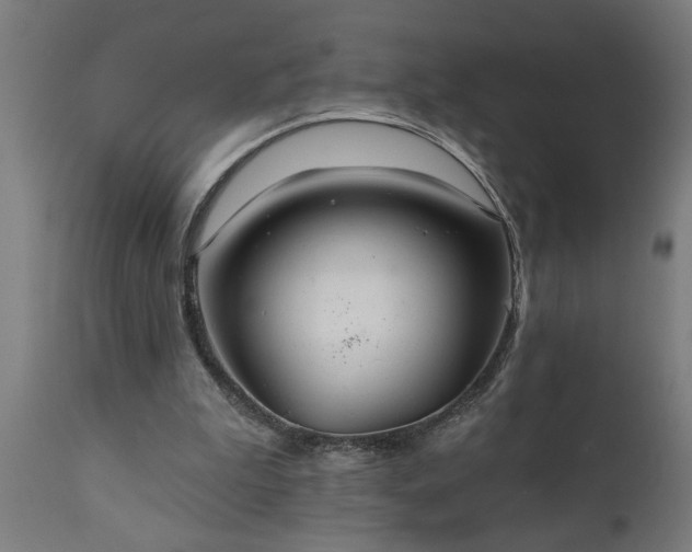 X0000111820199200907301305