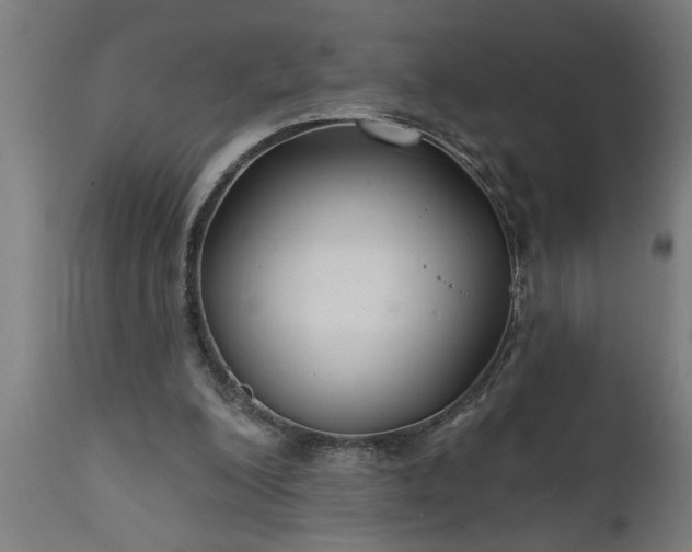 X0000111820200200907301305