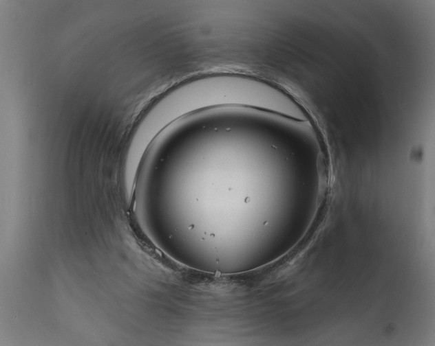 X0000111820201200907301304