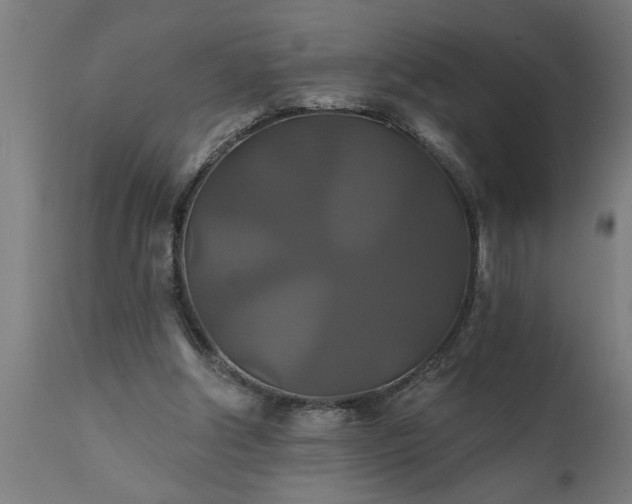 X0000111820202200907301304