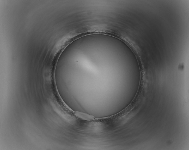 X0000111820203200907301304