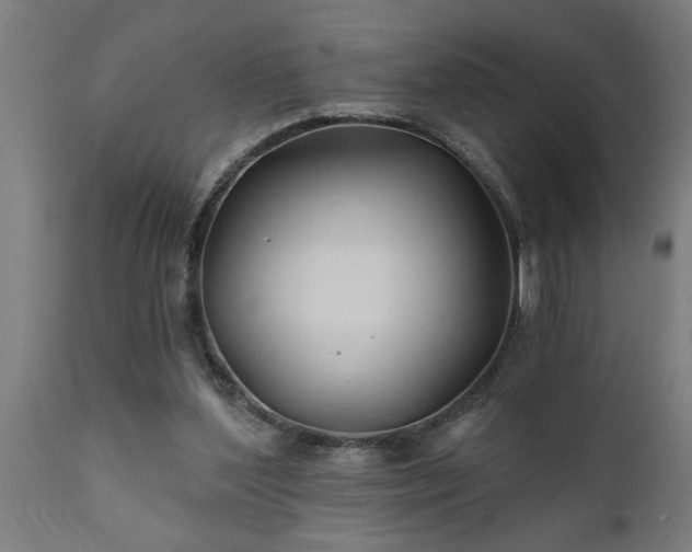 X0000111820204200907301304