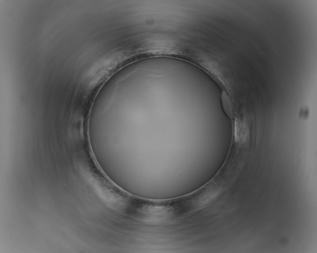 X0000111820205200907301304