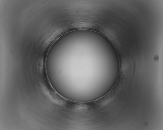 X0000111820206200907301304