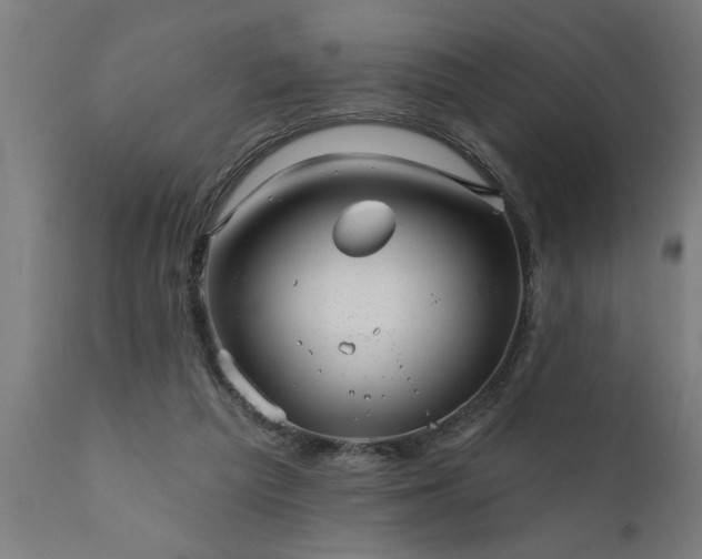 X0000111820209200907301304