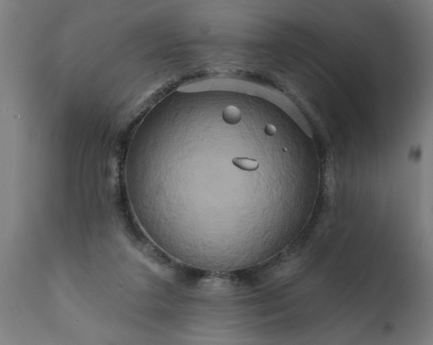 X0000111820211200907301304
