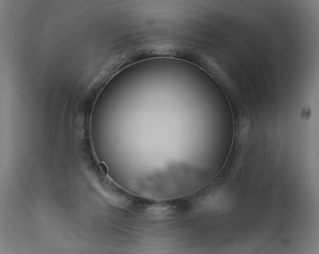 X0000111820213200907301304