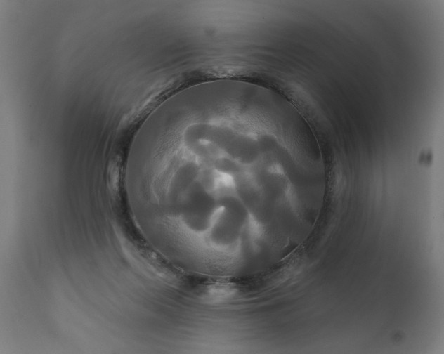 X0000111820214200907301304