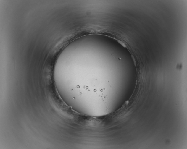 X0000111820215200907301304