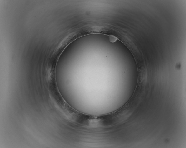 X0000111820216200907301304