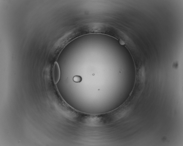 X0000111820217200907301304