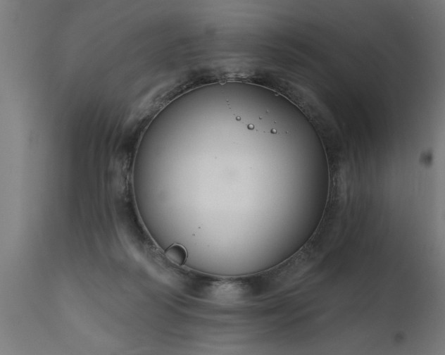 X0000111820218200907301304