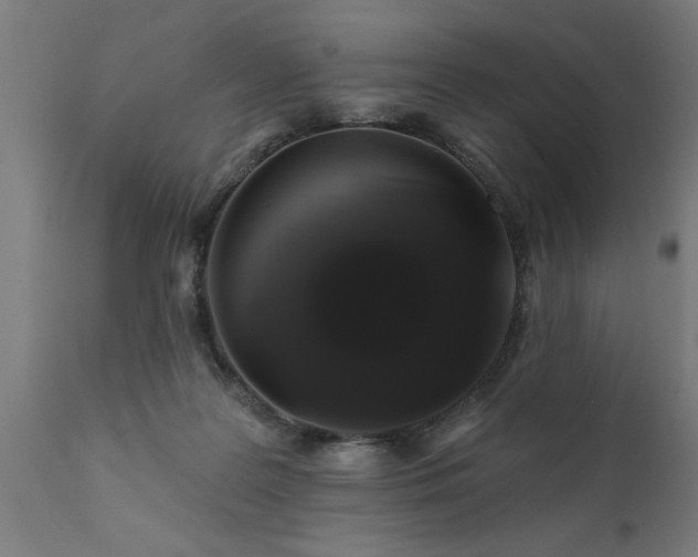 X0000111820219200907301304
