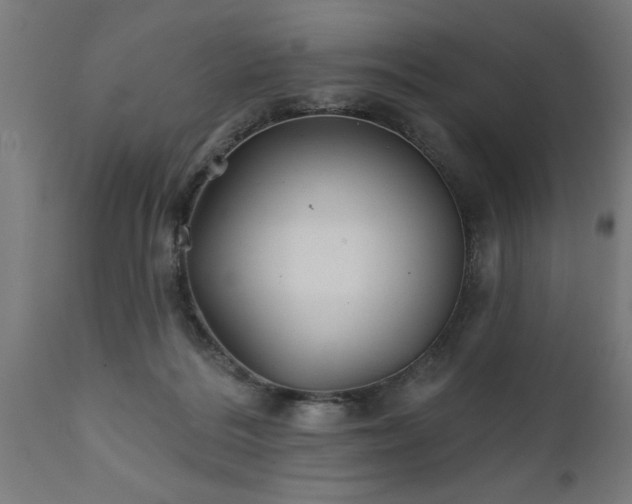 X0000111820220200907301304