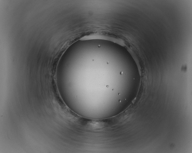 X0000111820221200907301304