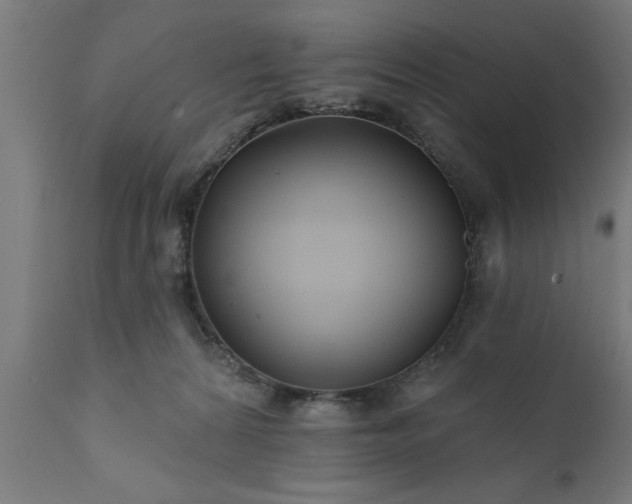 X0000111820224200907301304