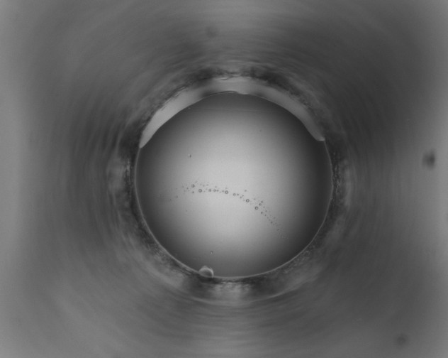 X0000111820225200907301304