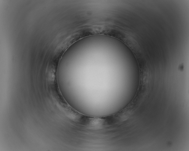 X0000111820226200907301304