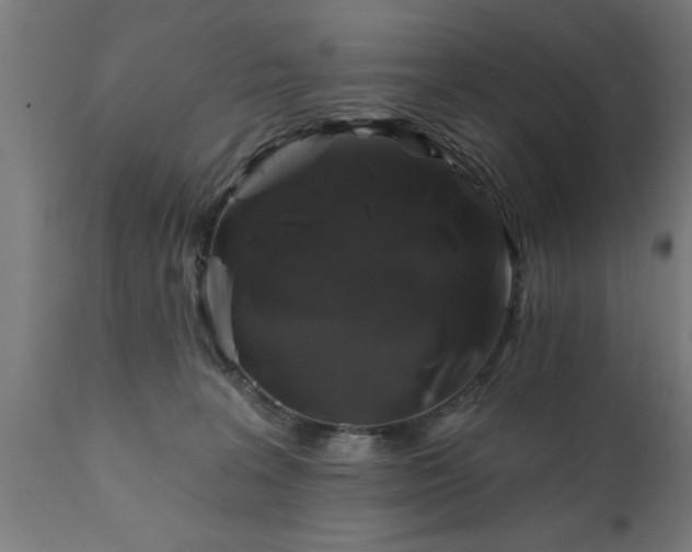 X0000111820227200907301304