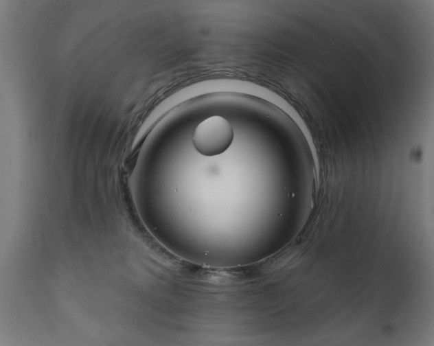 X0000111820229200907301304