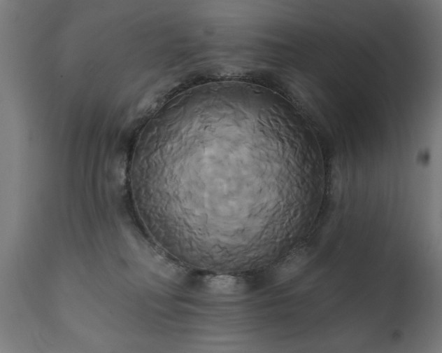X0000111820230200907301304