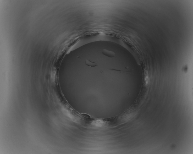 X0000111820231200907301304