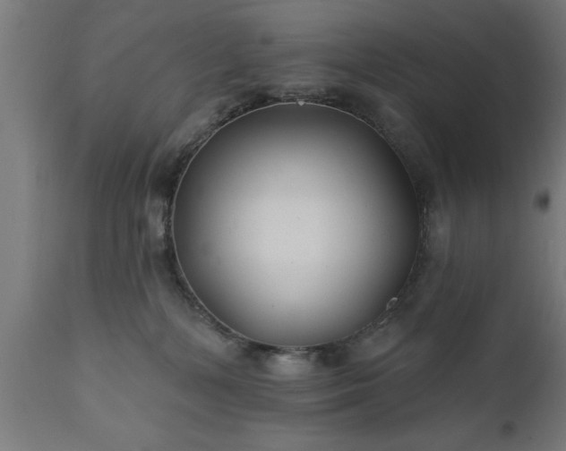 X0000111820232200907301304