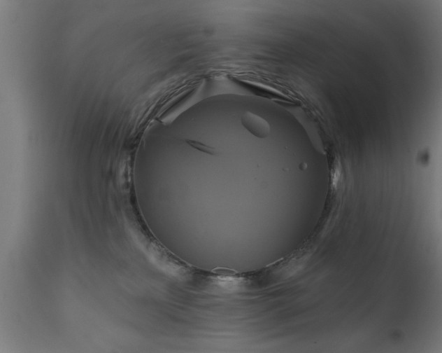 X0000111820233200907301304