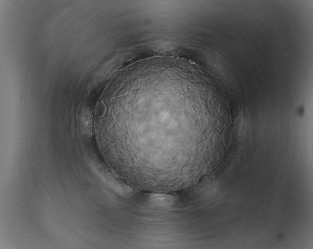 X0000111820234200907301304