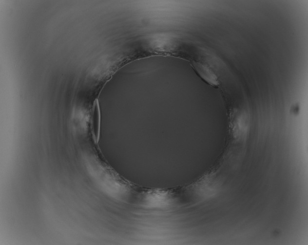 X0000111820235200907301304