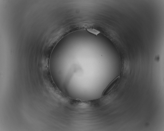 X0000111820236200907301304