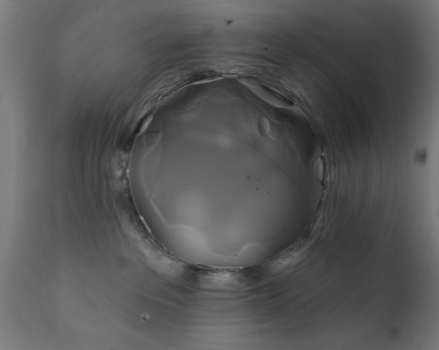 X0000111820237200907301304