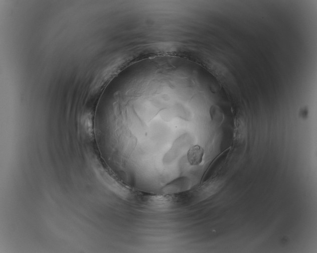 X0000111820238200907301304