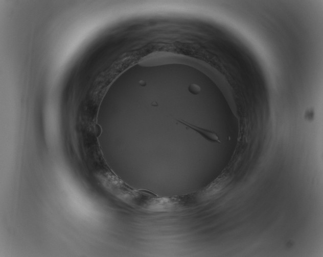 X0000111820239200907301304