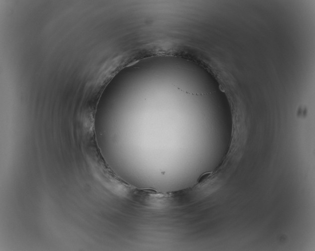 X0000111820240200907301304