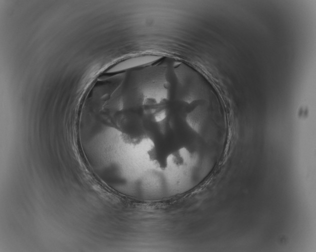 X0000111820241200907301303