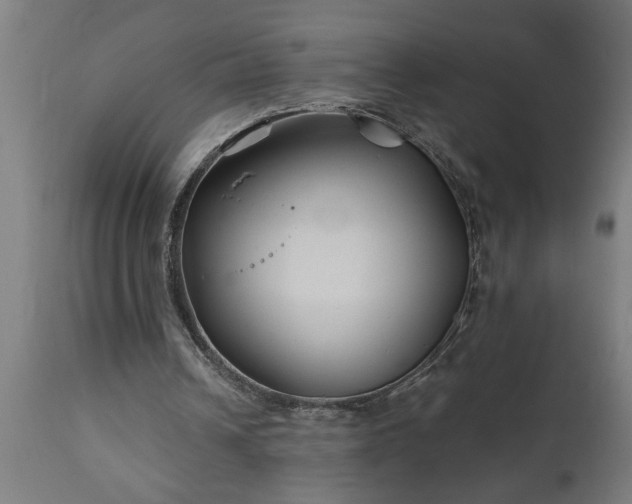 X0000111820242200907301303