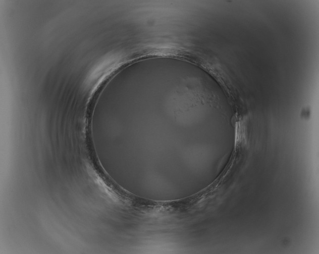X0000111820243200907301303