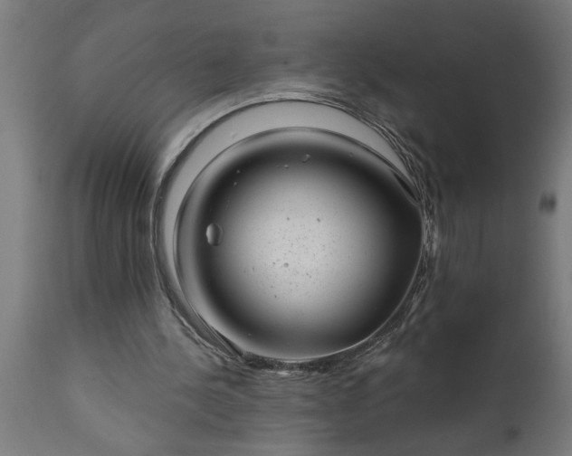 X0000111820244200907301303