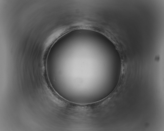 X0000111820245200907301303