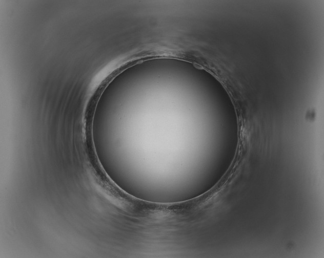 X0000111820246200907301303