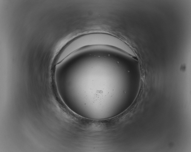 X0000111820248200907301303