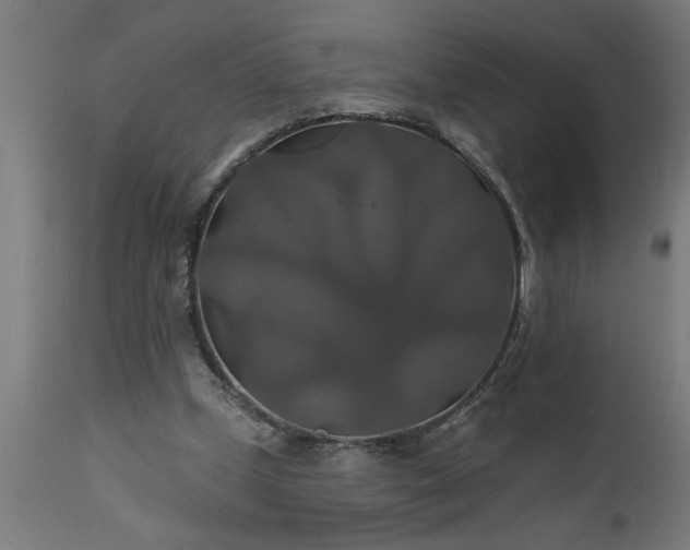 X0000111820249200907301303