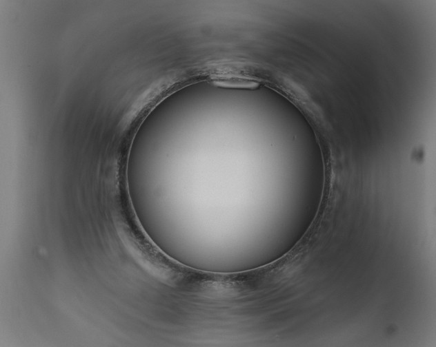 X0000111820250200907301303