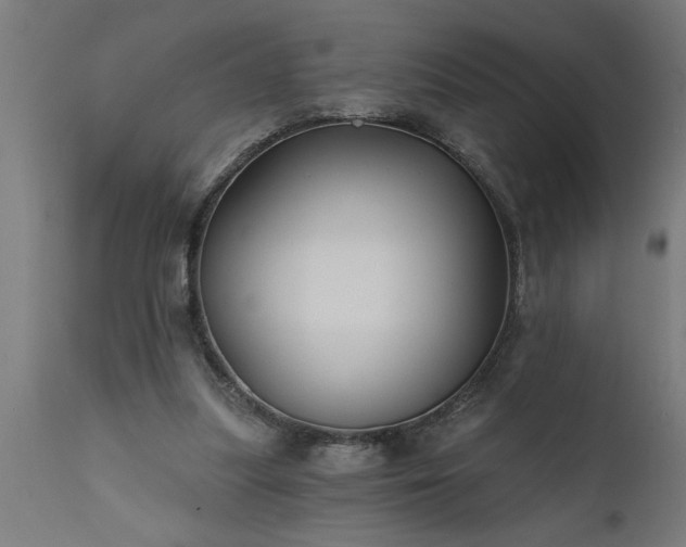 X0000111820251200907301303