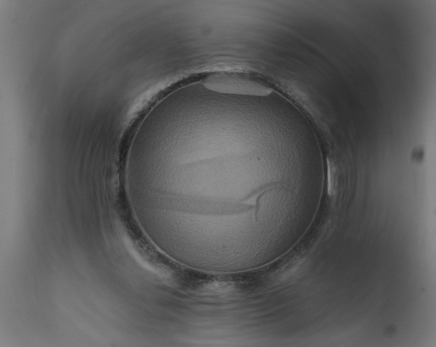 X0000111820252200907301303