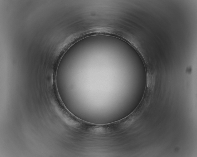 X0000111820253200907301303